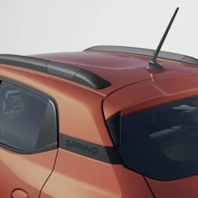 DACIA SPRING (BBG)
