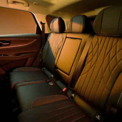 17. JAECOO 8 SHS-P Luxury second row